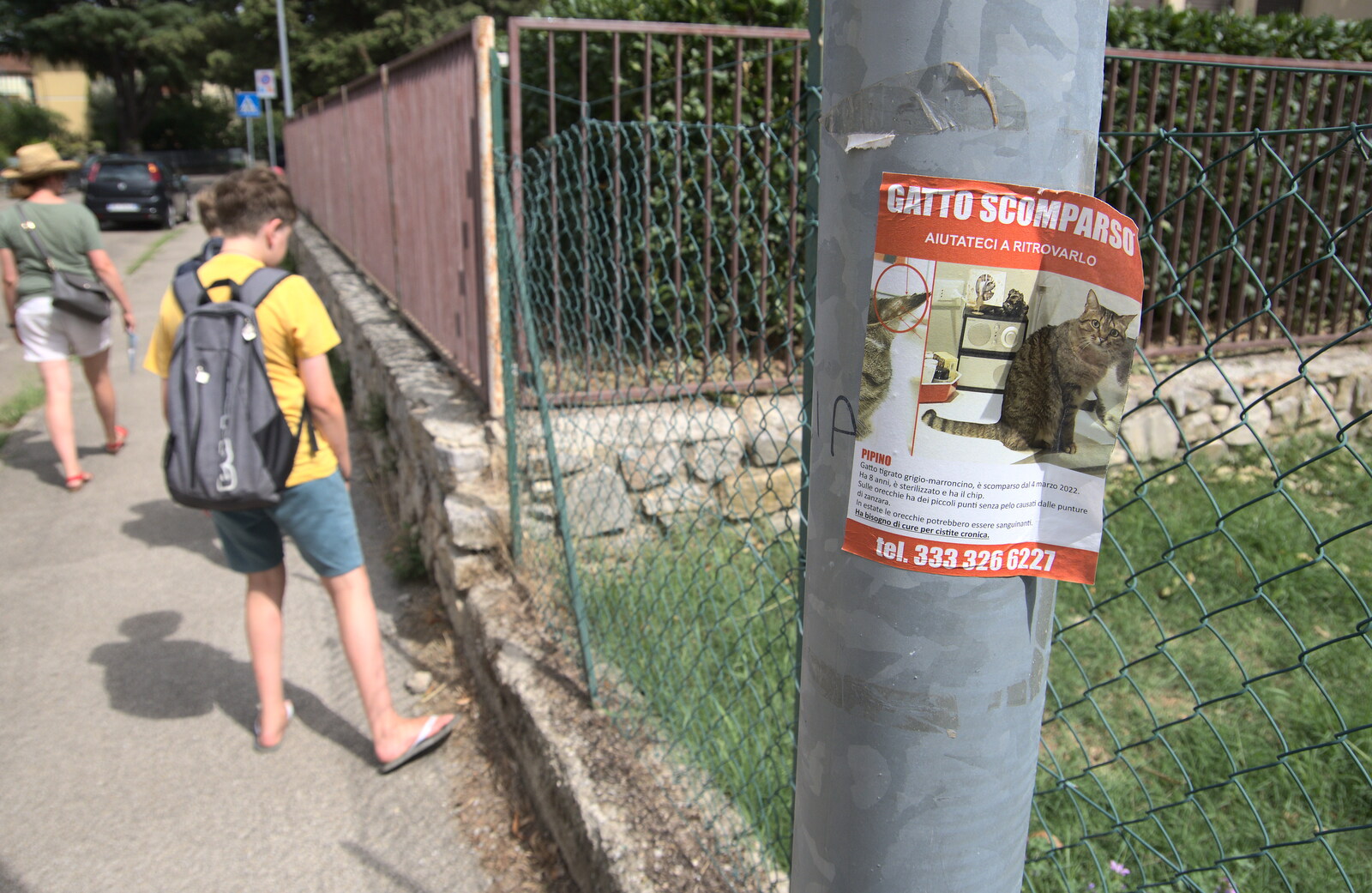 Castiglio Del Lago and Santuario della Verna, Umbria and Tuscany, Italy - 1st September 2022: There's a Lost Cat poster on a lamppost
