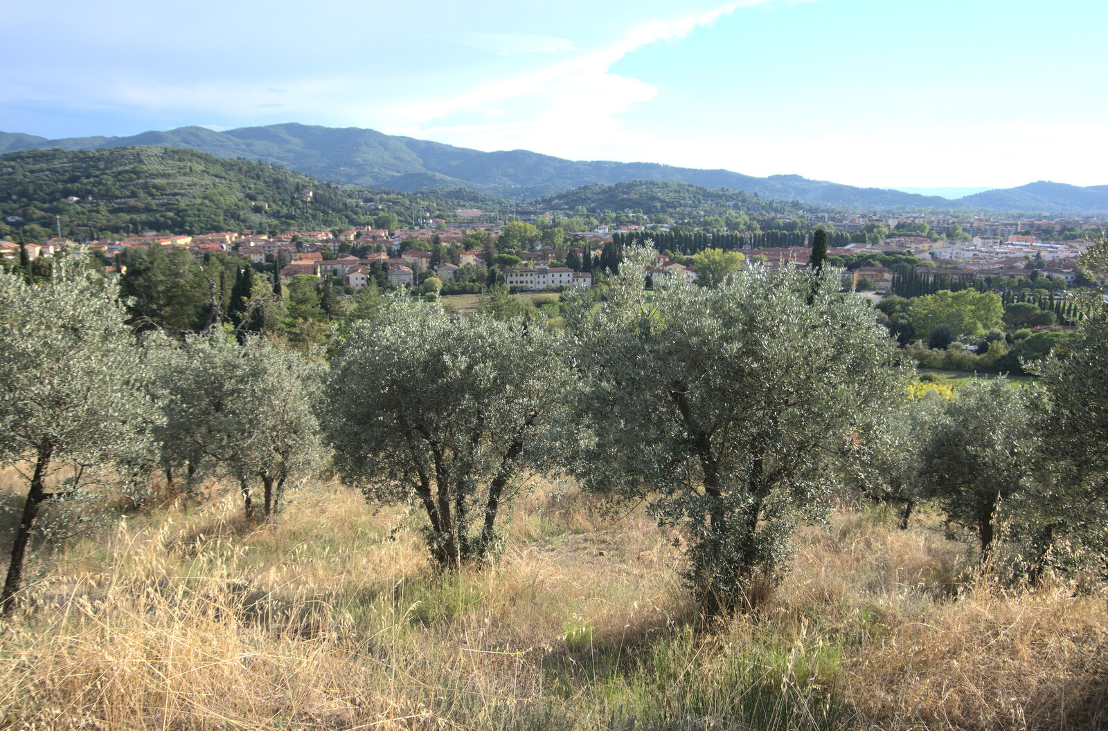 A Day by the Pool and a Festival Rehearsal, Arezzo, Italy - 3rd September 2022: There's an olive grove up the hill