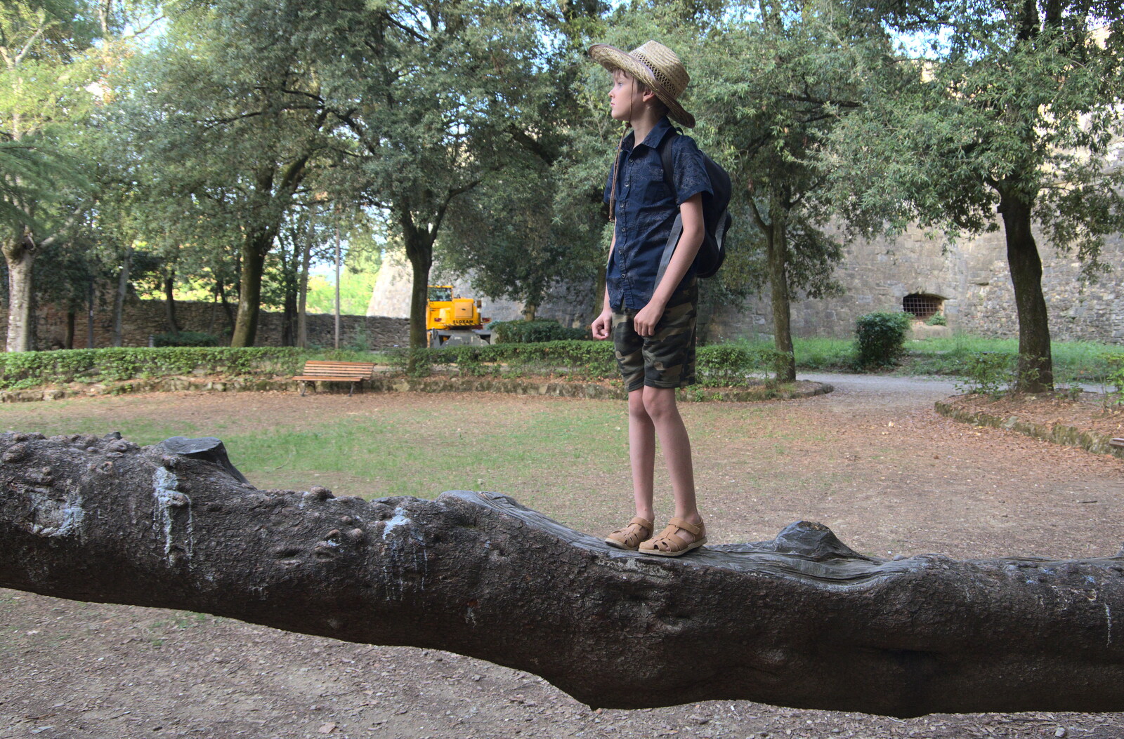 A Day by the Pool and a Festival Rehearsal, Arezzo, Italy - 3rd September 2022: Harry stands on a flat tree