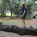A Day by the Pool and a Festival Rehearsal, Arezzo, Italy - 3rd September 2022, Harry stands on a flat tree