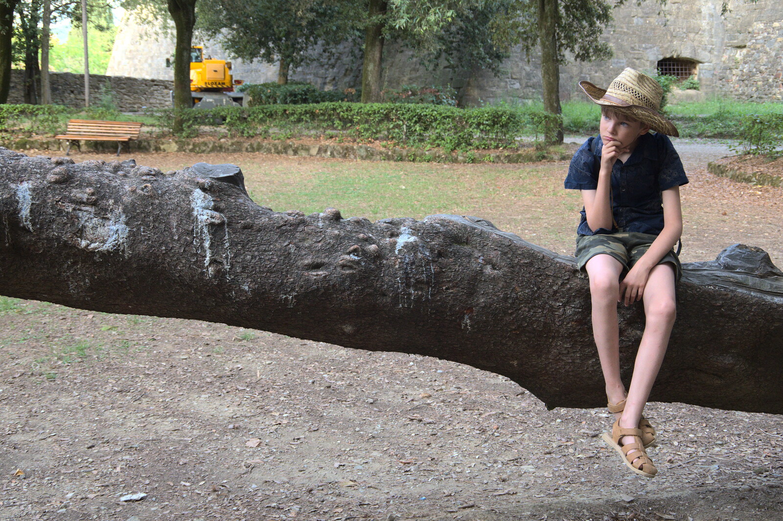 A Day by the Pool and a Festival Rehearsal, Arezzo, Italy - 3rd September 2022: Harry sits on a tree and has a think
