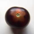 A Heritage Open Day, Eye, Suffolk - 18th September 2022, There's a nice star pattern on a heritage tomato