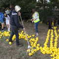 The ducks are scooped up and chucked in the river, Thrandeston History, and Scouts Duck Race, Eye, Suffolk - 24th September 2022