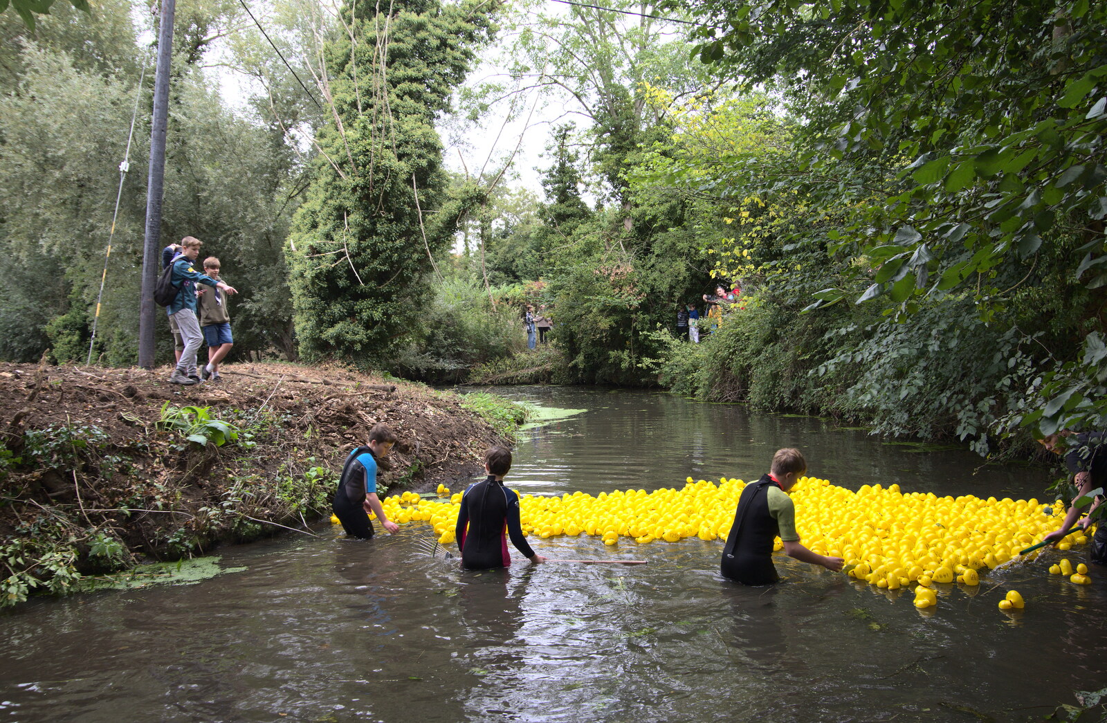 The ducks move up the river from Thrandeston History, and Scouts Duck Race, Eye, Suffolk - 24th September 2022
