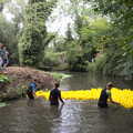 The ducks move up the river, Thrandeston History, and Scouts Duck Race, Eye, Suffolk - 24th September 2022