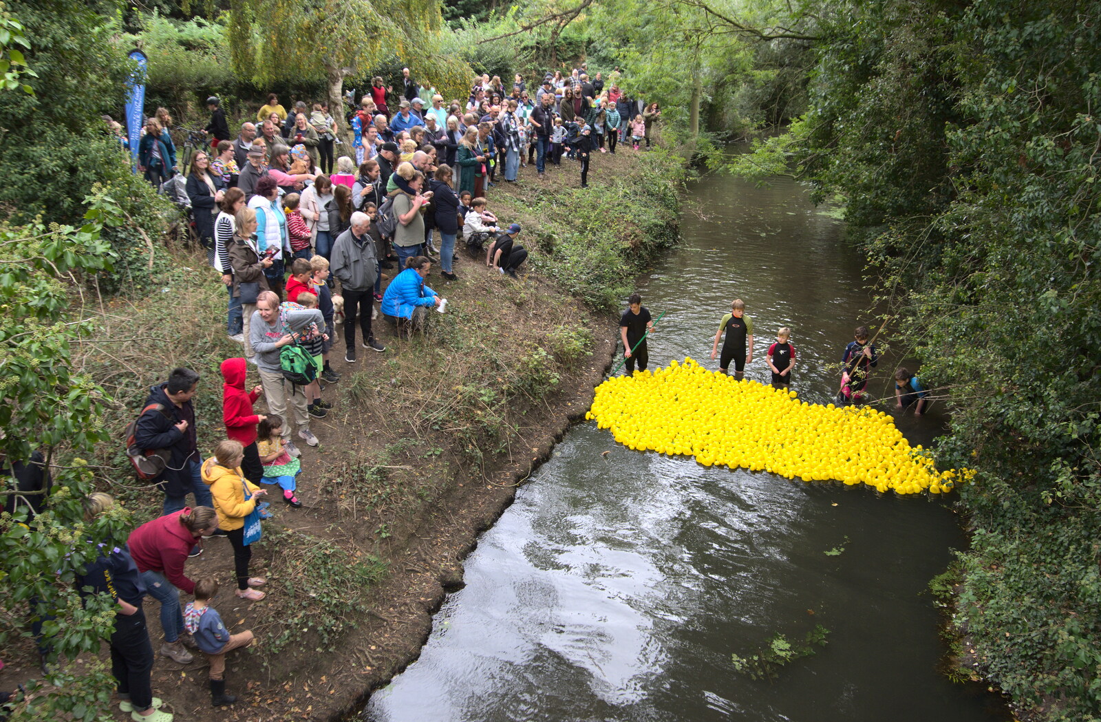 The mass of yellow plastic nears the finish line from Thrandeston History, and Scouts Duck Race, Eye, Suffolk - 24th September 2022