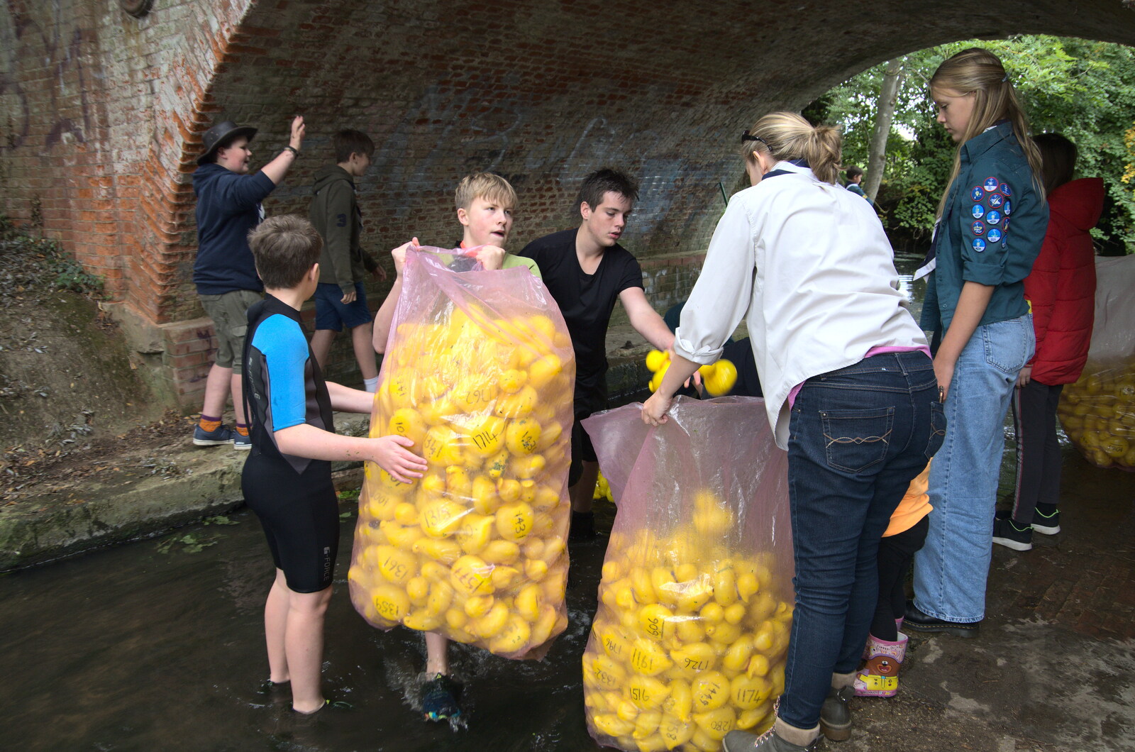 The ducks are all collected and bagged from Thrandeston History, and Scouts Duck Race, Eye, Suffolk - 24th September 2022