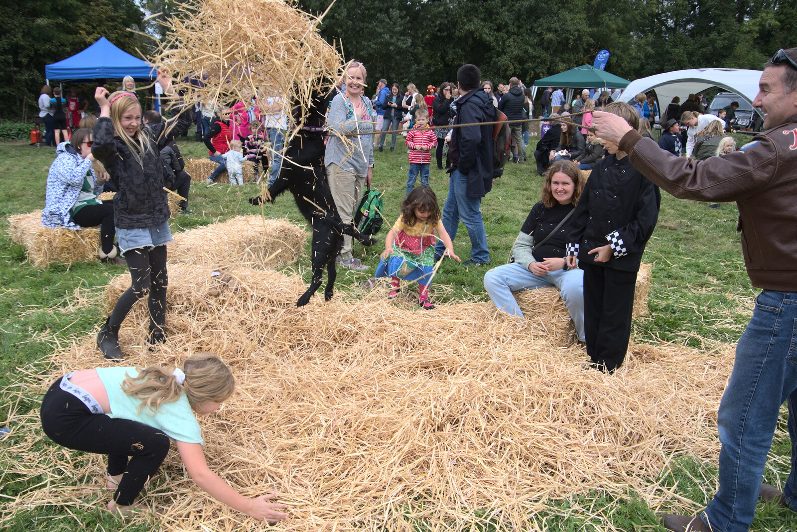 Chickens' dog bounces around chasing straw from Thrandeston History, and Scouts Duck Race, Eye, Suffolk - 24th September 2022