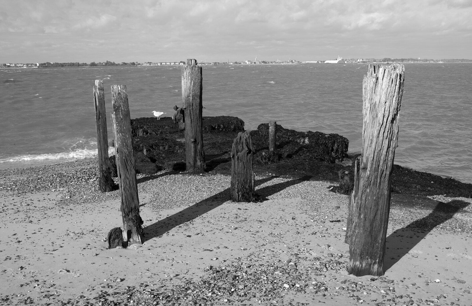 A Postcard from Felixstowe, Suffolk - 5th October 2022: A collection of wooden stumps on the shore