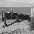 A collection of wooden stumps on the shore, A Postcard from Felixstowe, Suffolk - 5th October 2022