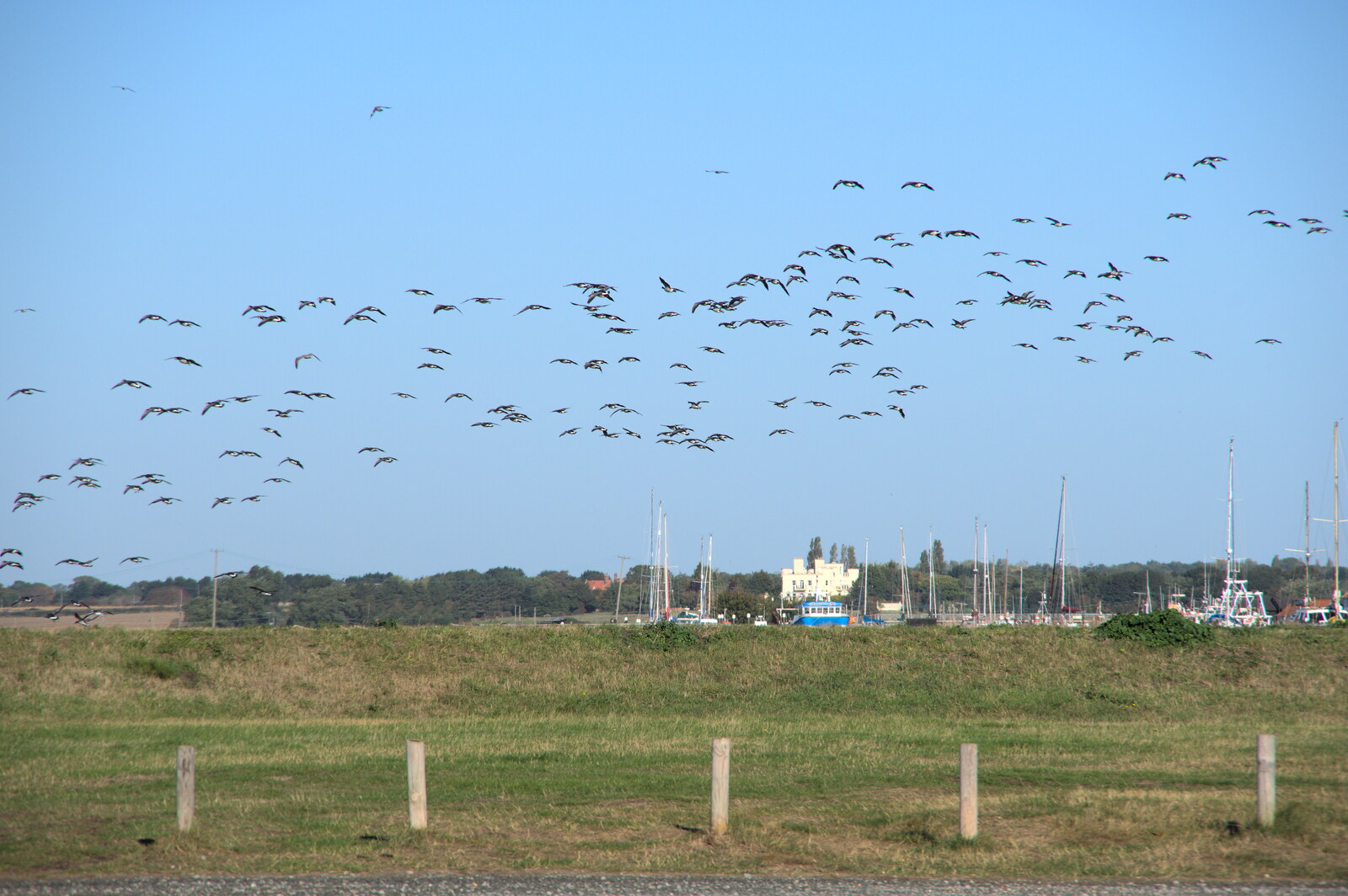 Harry's Scout Hike, Walberswick and Dunwich, Suffolk - 9th October 2022: A load of birds take to the air over the river