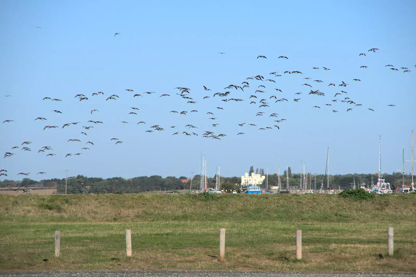A load of birds take to the air over the river, from Harry's Scout Hike, Walberswick and Dunwich, Suffolk - 9th October 2022