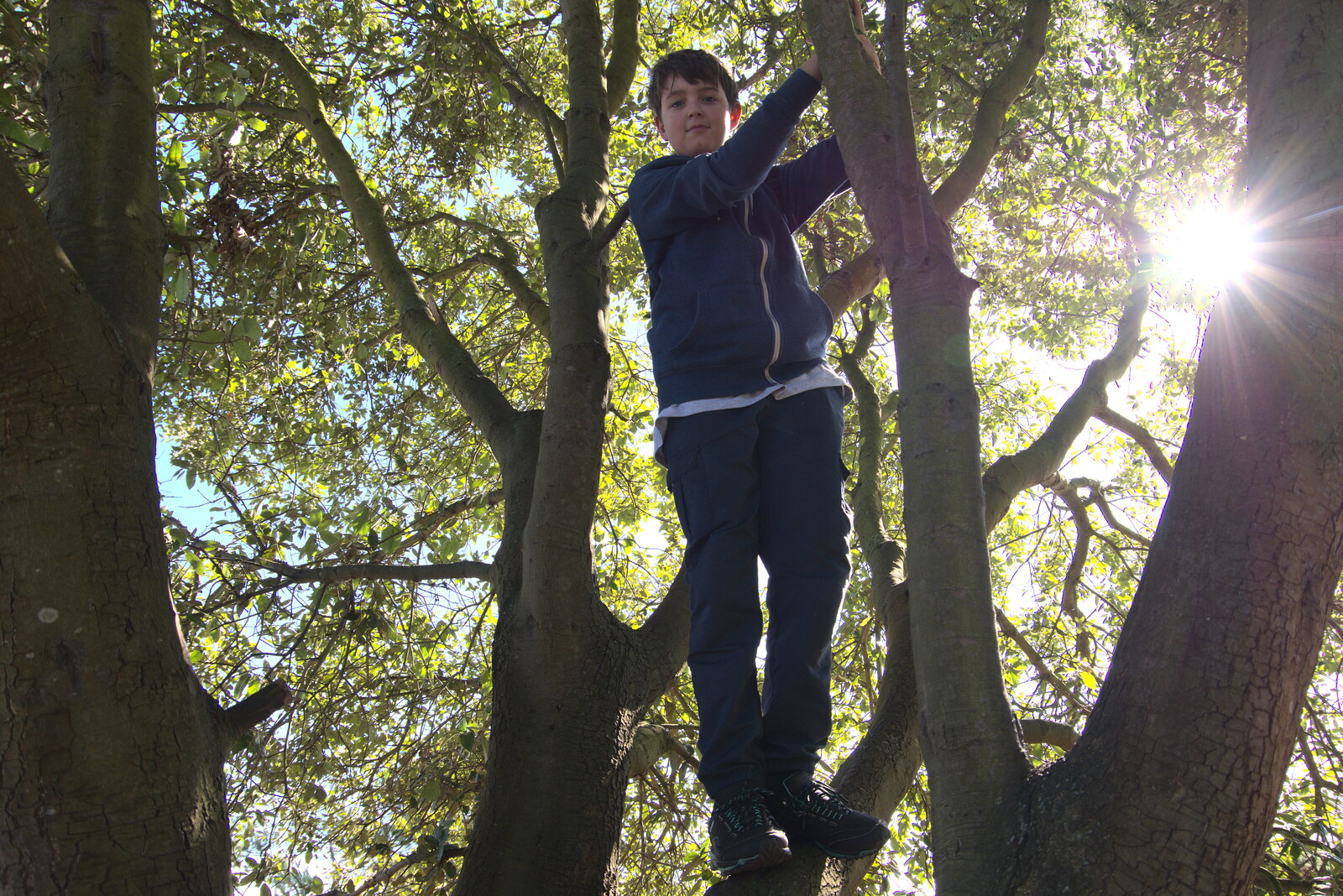 Harry's Scout Hike, Walberswick and Dunwich, Suffolk - 9th October 2022: We climb a tree as Isobel visits the bogs
