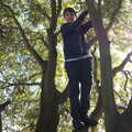 We climb a tree as Isobel visits the bogs, Harry's Scout Hike, Walberswick and Dunwich, Suffolk - 9th October 2022