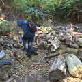 Fred investigates a bug-friendly pile of logs, Harry's Scout Hike, Walberswick and Dunwich, Suffolk - 9th October 2022