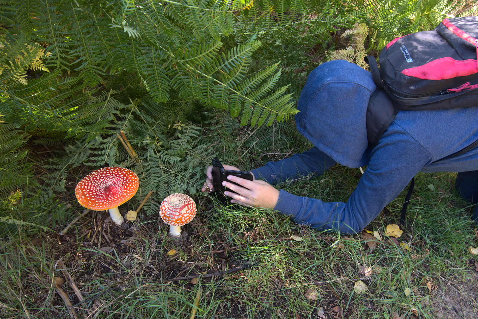 Harry's Scout Hike, Walberswick and Dunwich, Suffolk - 9th October 2022: Fred gets in close for a fungi photo
