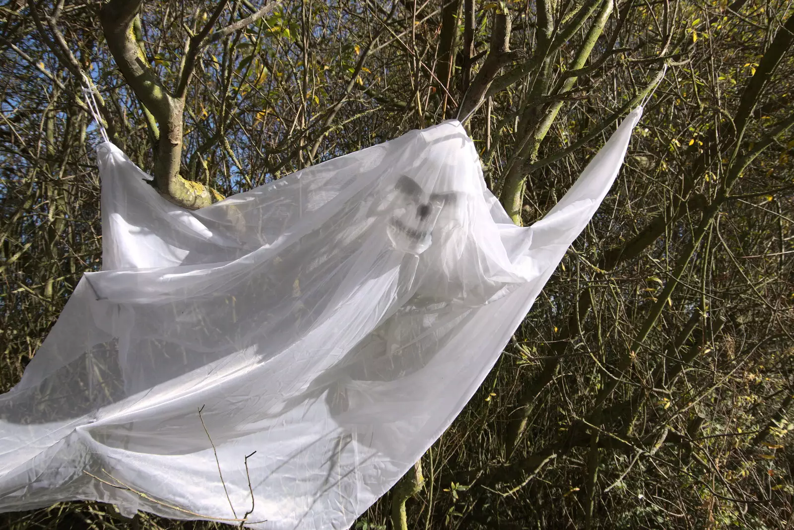 There's a cool ghoul in a bush, from A Few Hours at Alton Water, Stutton, Suffolk - 22nd October 2022