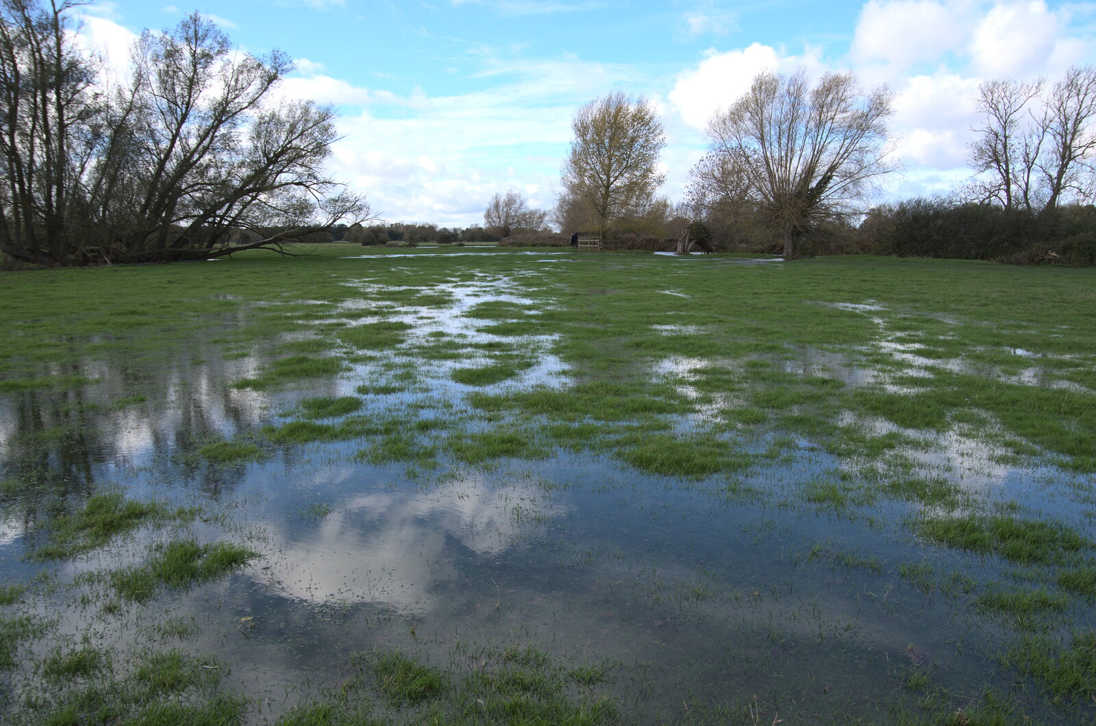 A Postcard from Flatford and Dedham, Suffolk and Essex, 9th November 2022: The field on the walk to Dedham is flooded
