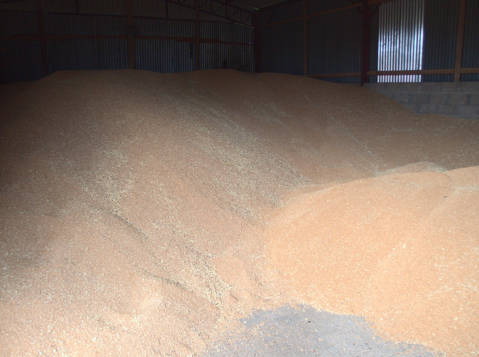 Valley Farm's grain harvest  from The GSB at Wickham Skeith, Suffolk - 19th November 2022