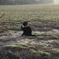 Lucy - the one-eyed cat - looks around, The GSB at Wickham Skeith, Suffolk - 19th November 2022