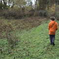 Fred wanders around what used to be a lake, The GSB at Wickham Skeith, Suffolk - 19th November 2022