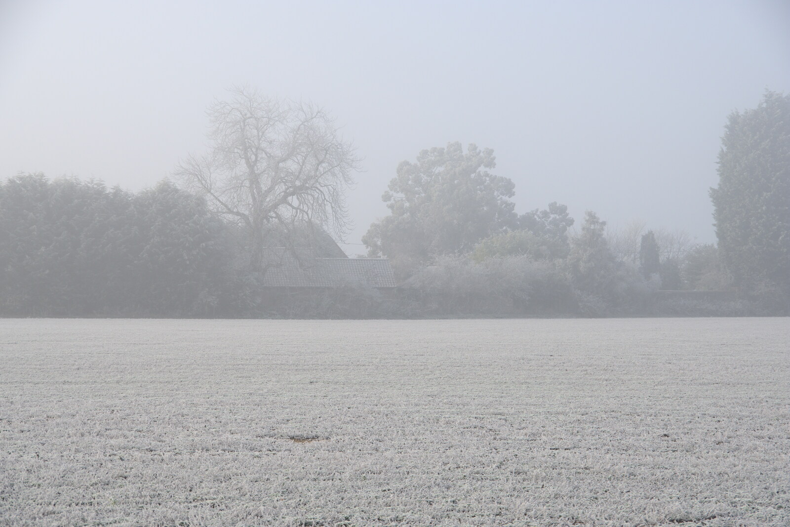 There's freezing fog over the side field from Dove Players do Aladdin, Eye, Suffolk - 10th December 2022