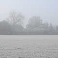 There's freezing fog over the side field, Dove Players do Aladdin, Eye, Suffolk - 10th December 2022