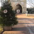 A community Christmas tree in Abbey Gardens, A Shopping Trip to Bury St. Edmunds, Suffolk - 14th December 2022