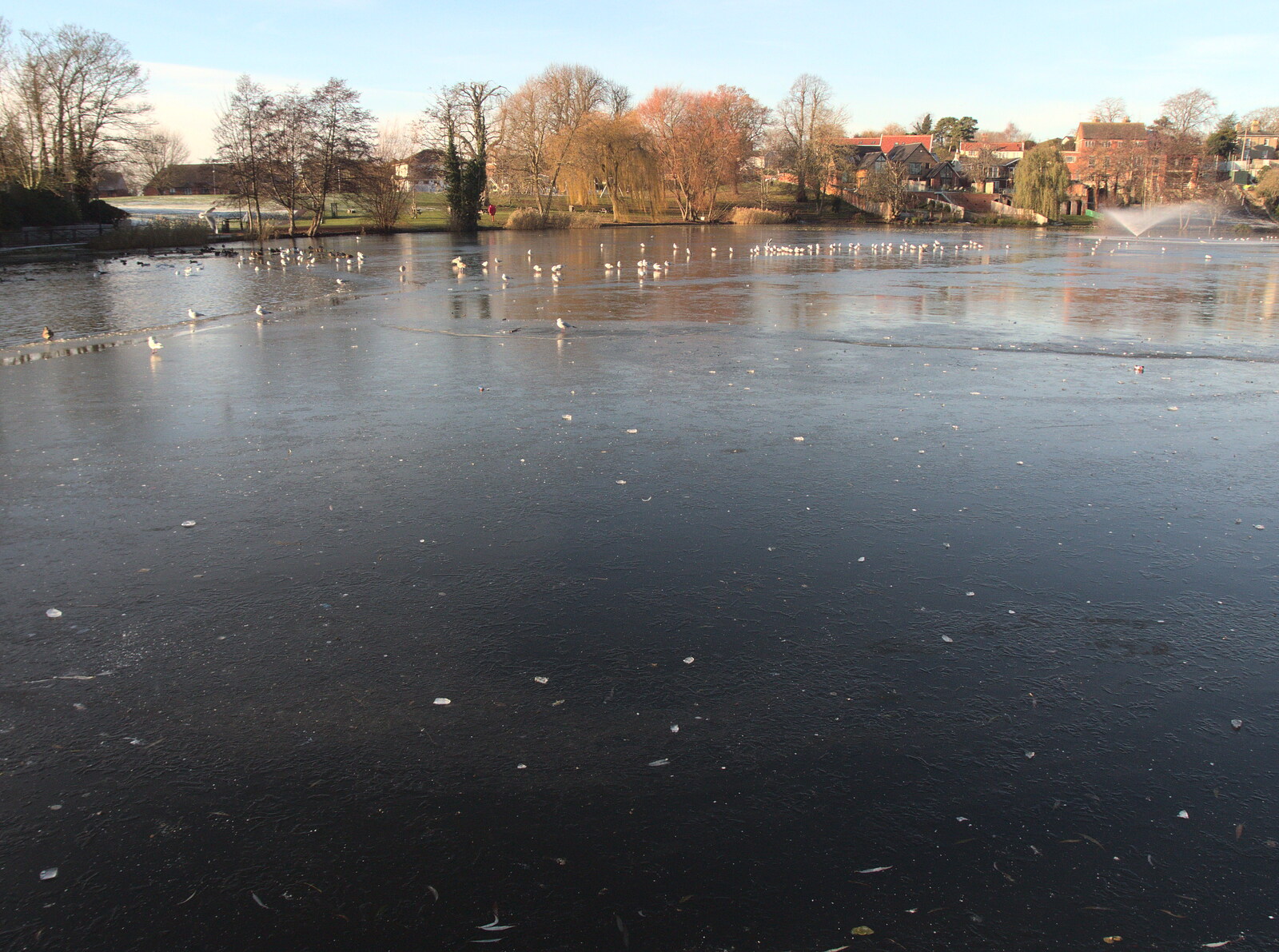 The Mere has frozen over from A Shopping Trip to Bury St. Edmunds, Suffolk - 14th December 2022