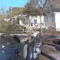 A load of gulls fly around, A Shopping Trip to Bury St. Edmunds, Suffolk - 14th December 2022