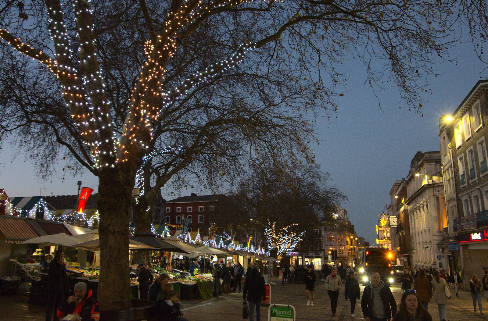 Illuminated trees and market on Gentleman's Walk from Christmas Shopping in Norwich, Norfolk - 21st December 2022