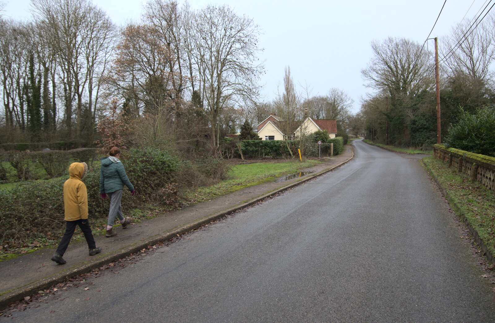 Winter Walks around Brome and Hoxne, Suffolk - 2nd January 2023: We continue off up the road