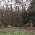 Orphaned gate posts in the woods, Winter Walks around Brome and Hoxne, Suffolk - 2nd January 2023