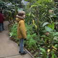 Harry looks around, A Few Hours at the Zoo, Banham, Norfolk - 8th January 2023