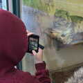 Fred takes a photo of the one-eyed snow leopard, A Few Hours at the Zoo, Banham, Norfolk - 8th January 2023