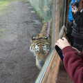 Fred tries to get a photo, A Few Hours at the Zoo, Banham, Norfolk - 8th January 2023