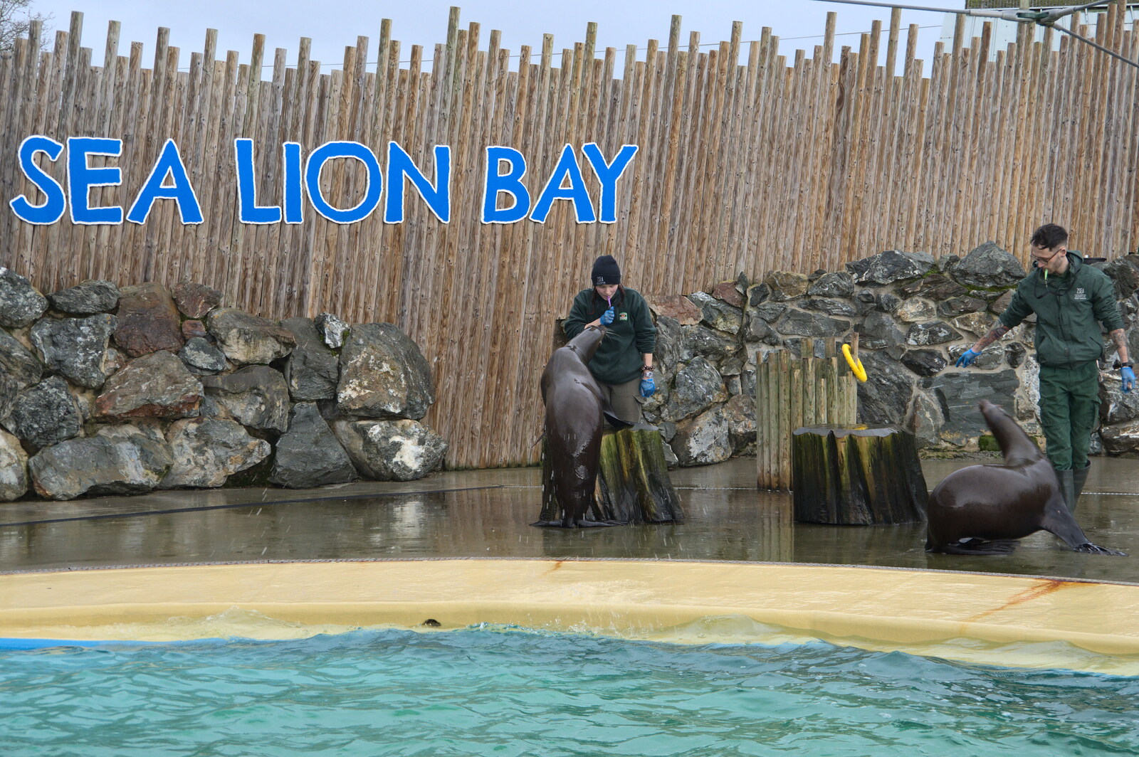 A Few Hours at the Zoo, Banham, Norfolk - 8th January 2023: There's a talk at the sea lion enclosure