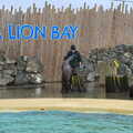 There's a talk at the sea lion enclosure, A Few Hours at the Zoo, Banham, Norfolk - 8th January 2023