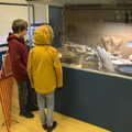 The boys look at something in a tank, A Few Hours at the Zoo, Banham, Norfolk - 8th January 2023