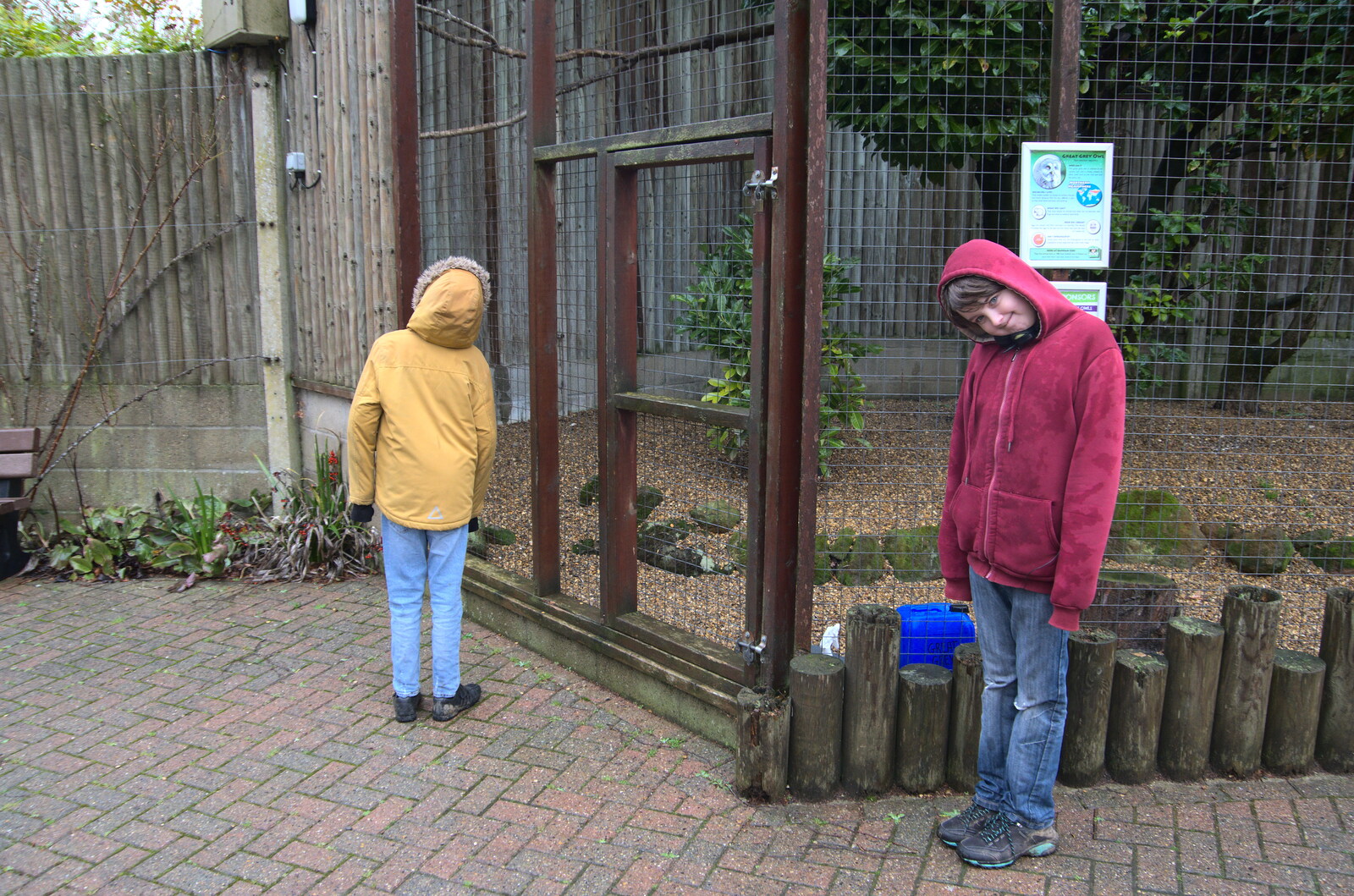 A Few Hours at the Zoo, Banham, Norfolk - 8th January 2023: The boys by the owl enclosures