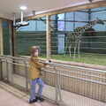 Harry looks at a giraffe, A Few Hours at the Zoo, Banham, Norfolk - 8th January 2023