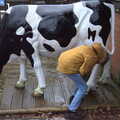Harry checks the cow for milk, A Few Hours at the Zoo, Banham, Norfolk - 8th January 2023