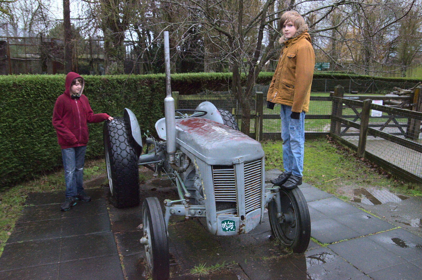 A Few Hours at the Zoo, Banham, Norfolk - 8th January 2023: The boys on the Fergie TE120