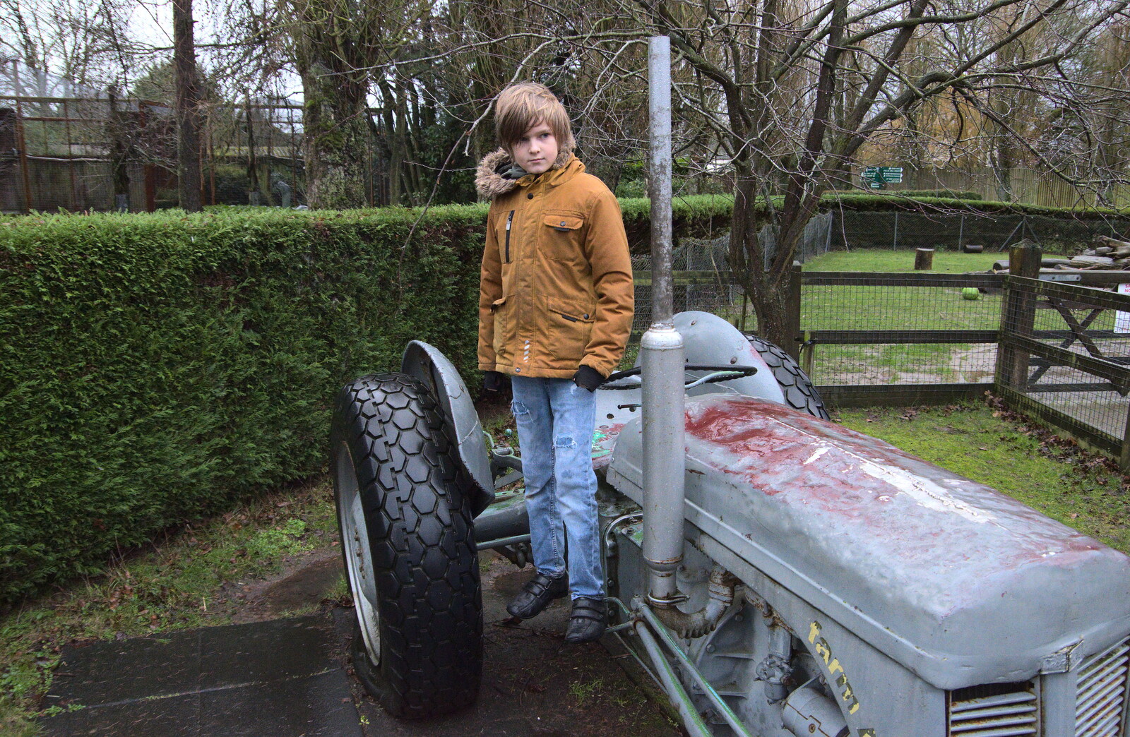 A Few Hours at the Zoo, Banham, Norfolk - 8th January 2023: Harry stands on the tractor