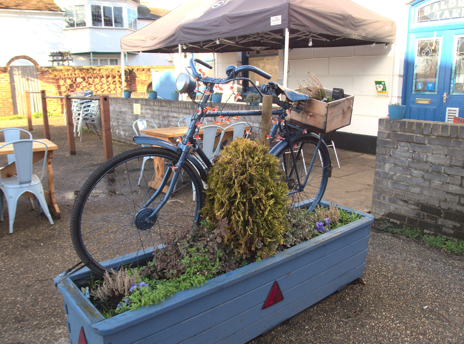 A Wander around Fair Green, Diss, Norfolk - 11th January 2023: A bike in a flower box by the Angel Café