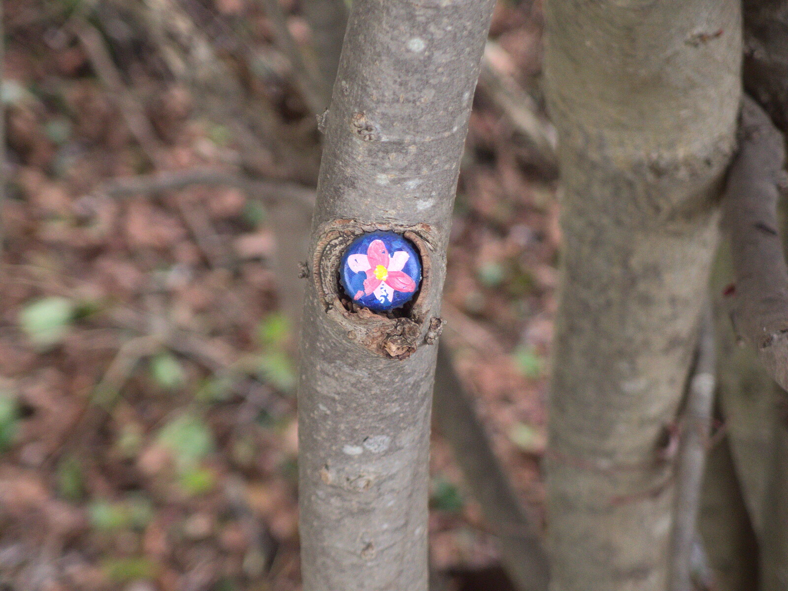 A Wander around Fair Green, Diss, Norfolk - 11th January 2023: Painted bottle tops on Moorhall Causeway