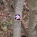 Painted bottle tops on Moorhall Causeway, A Wander around Fair Green, Diss, Norfolk - 11th January 2023