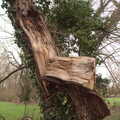 There are a lot of broken trees around, A Wander around Fair Green, Diss, Norfolk - 11th January 2023