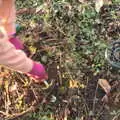 Isobel and Fred do a bit of metal detecting, A Frosty Walk Around Brome, Suffolk - 22nd January 2023