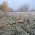 Chinner's old fence is in a bit of a state, A Frosty Walk Around Brome, Suffolk - 22nd January 2023